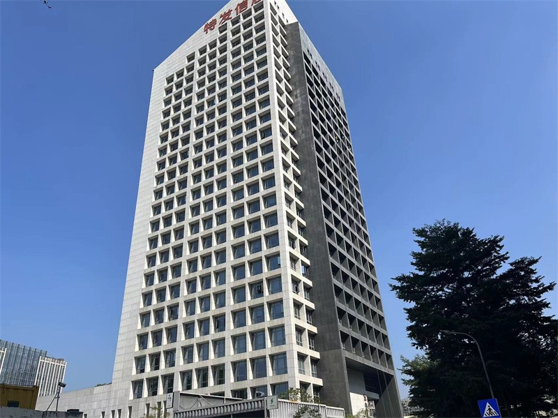  特发信息科技大厦 